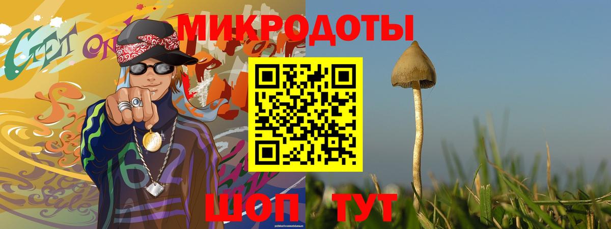 Лесозаводск  Псилоцибиновые грибы мицелий  Вход с VPN 